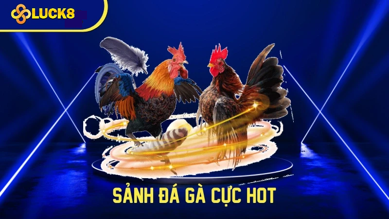 Tổng Quan Về Đá Gà Luck8